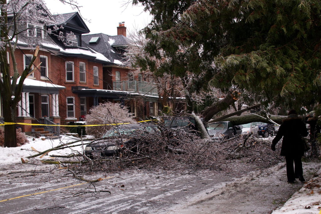 Damage from a fallen tree after the December 2013 storm complex passed through Toronto